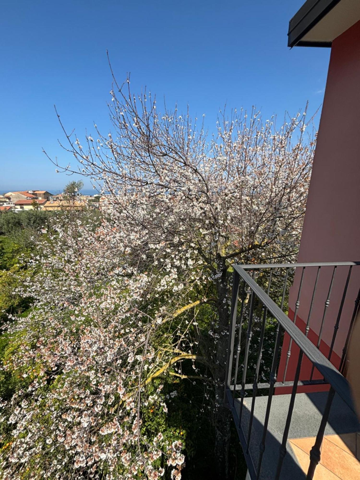 Intero Appartamento A Sant'Agnello , Le Ortensie Экстерьер фото